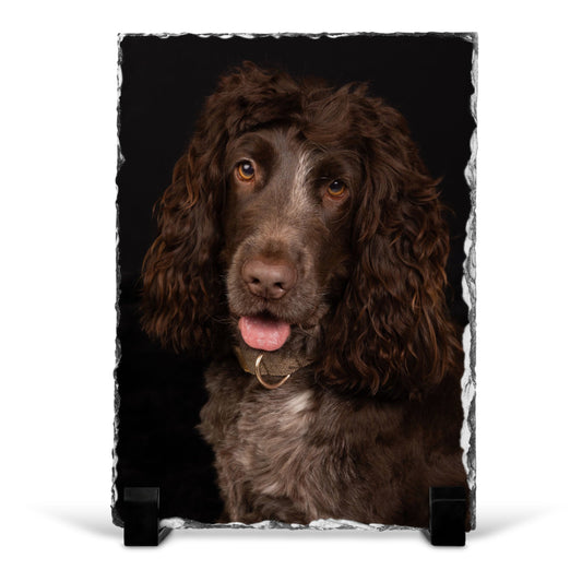 15 x 20cm Photo Slate